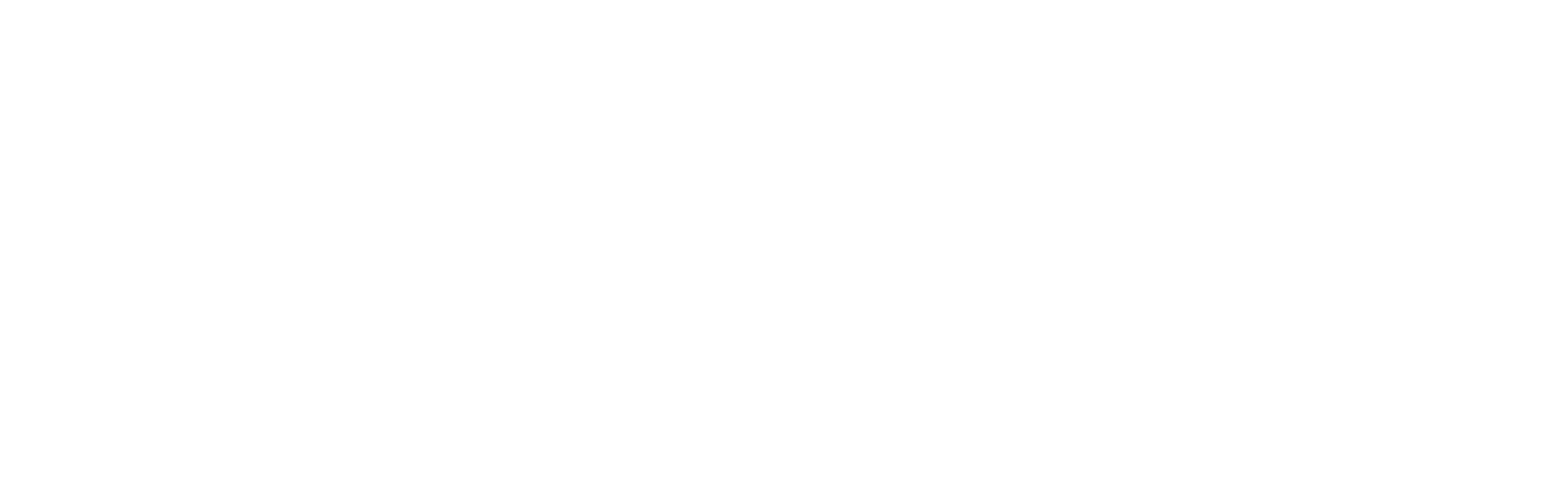 WOP Festival blanco